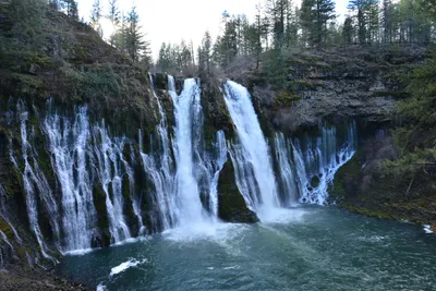 DSC_5931 (Large).JPG